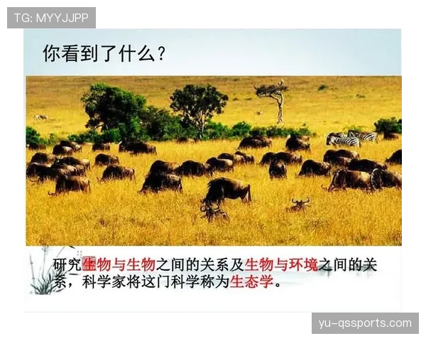 卡马文加是否依赖体系生存